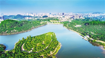 1平方公里的深圳市光明区扩展延伸,一艘创建国家生态文明示范区的航船
